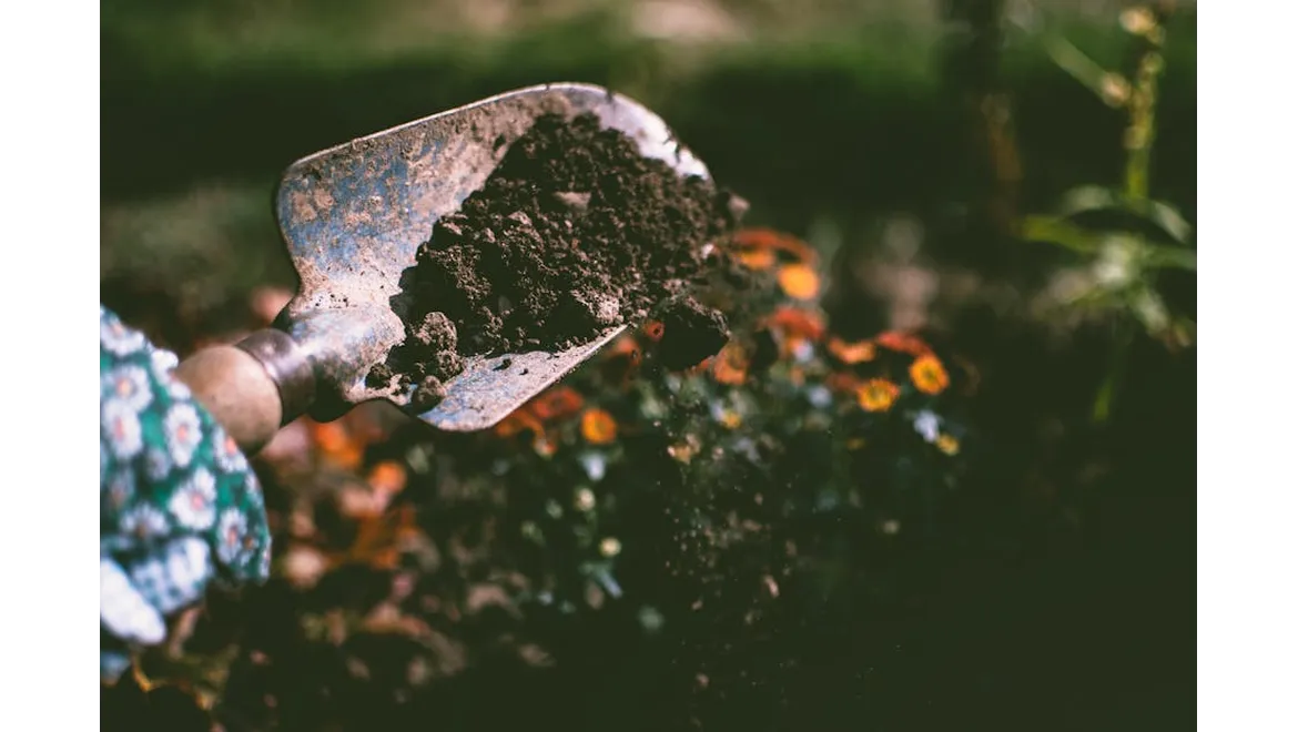 <p>Slug Wars & Seasonal Wins: A Gardener’s Chat</p>