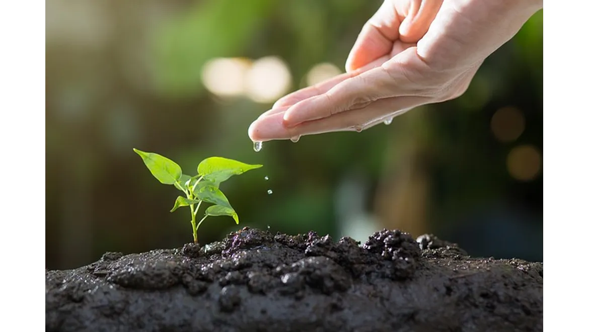 <p>Sowing Seeds of Seasonal Joy: A Gardener’s Chat</p>