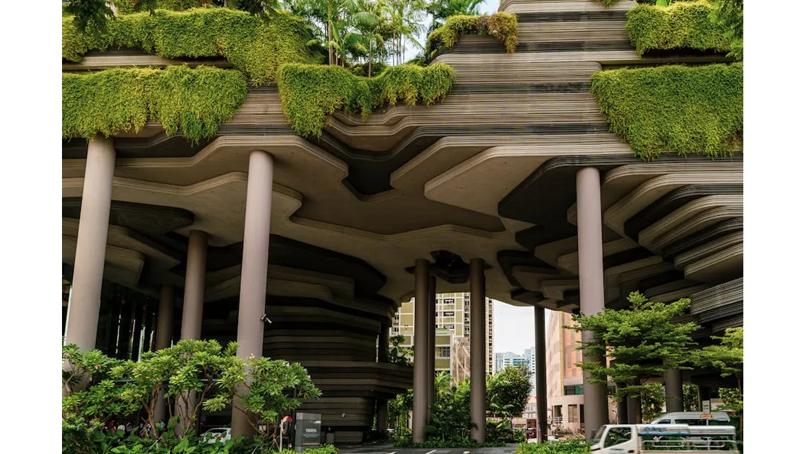 <p>My Biophilic Journey: Bringing Nature Home for Wellness and Productivity</p>