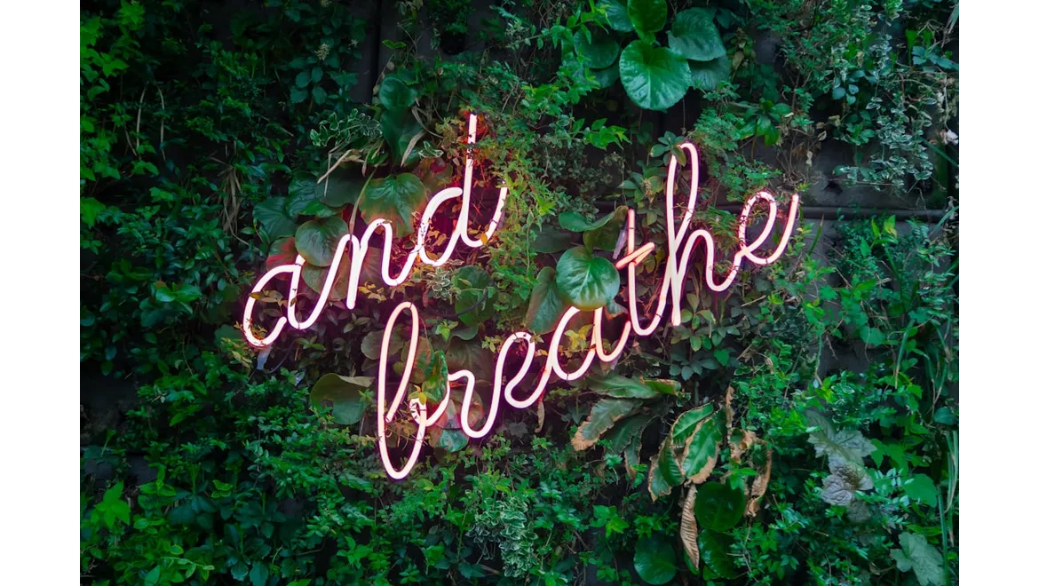 <p>Breathe Better, Live Better: My Chat About Home Air and Exercise</p>