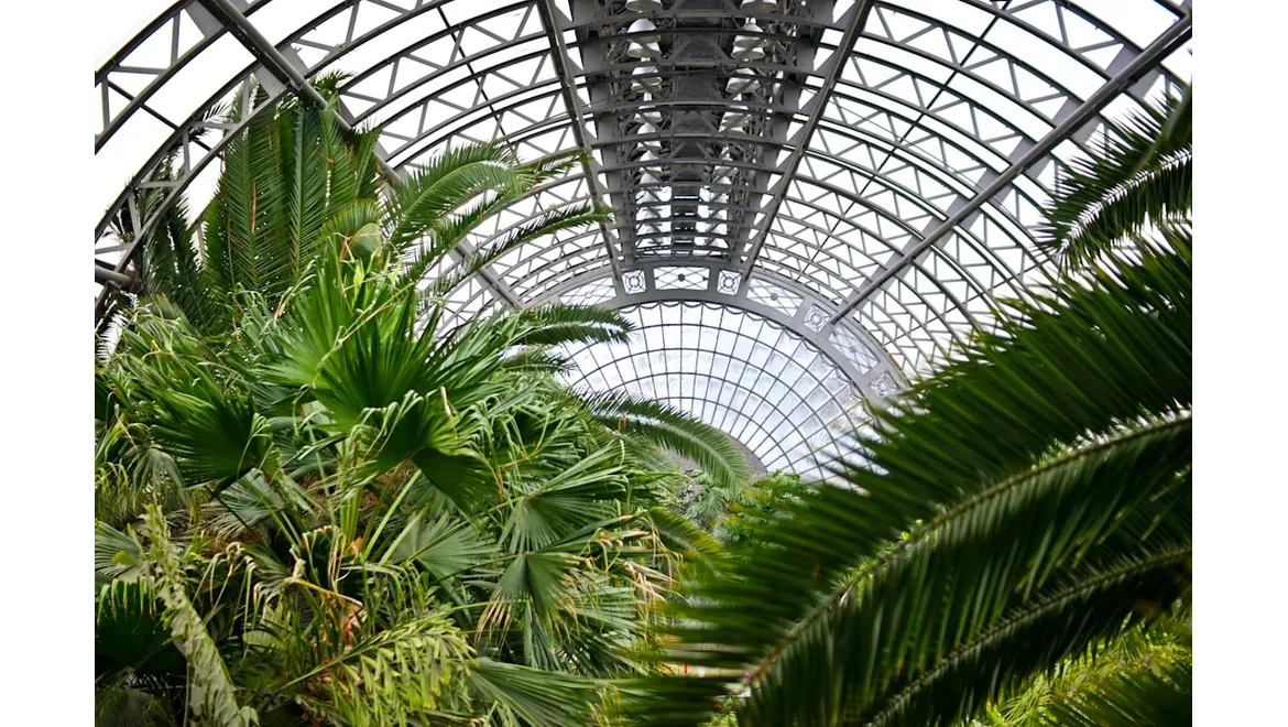 <p>Let There Be Light (Orangeries!)</p>