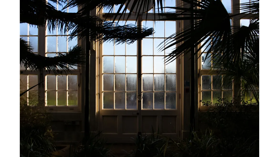 <p>Orangery Oasis: Game On!</p>