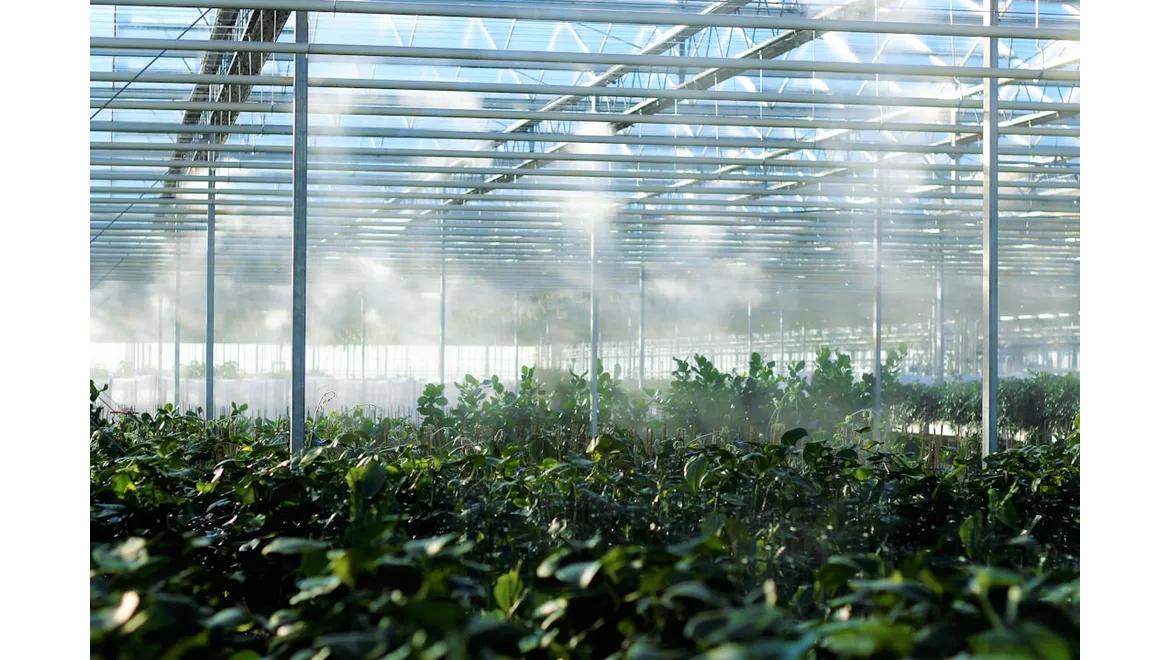 <p>Orangery Alchemy: From Greenhouse to Gorgeous Gathering Place</p>