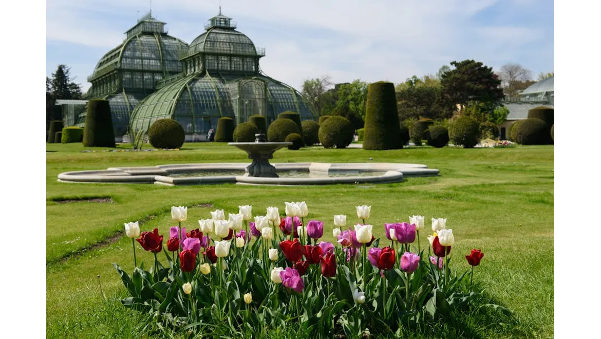 <p>Orangery Triumph: The Site Survey That Saved the Day</p>