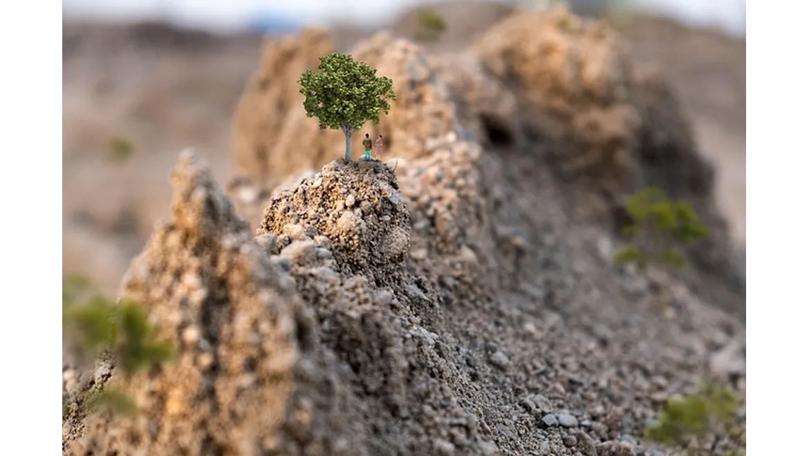 <p>My Miniature Mountain: A Rock Garden Journey in My UK Garden</p>