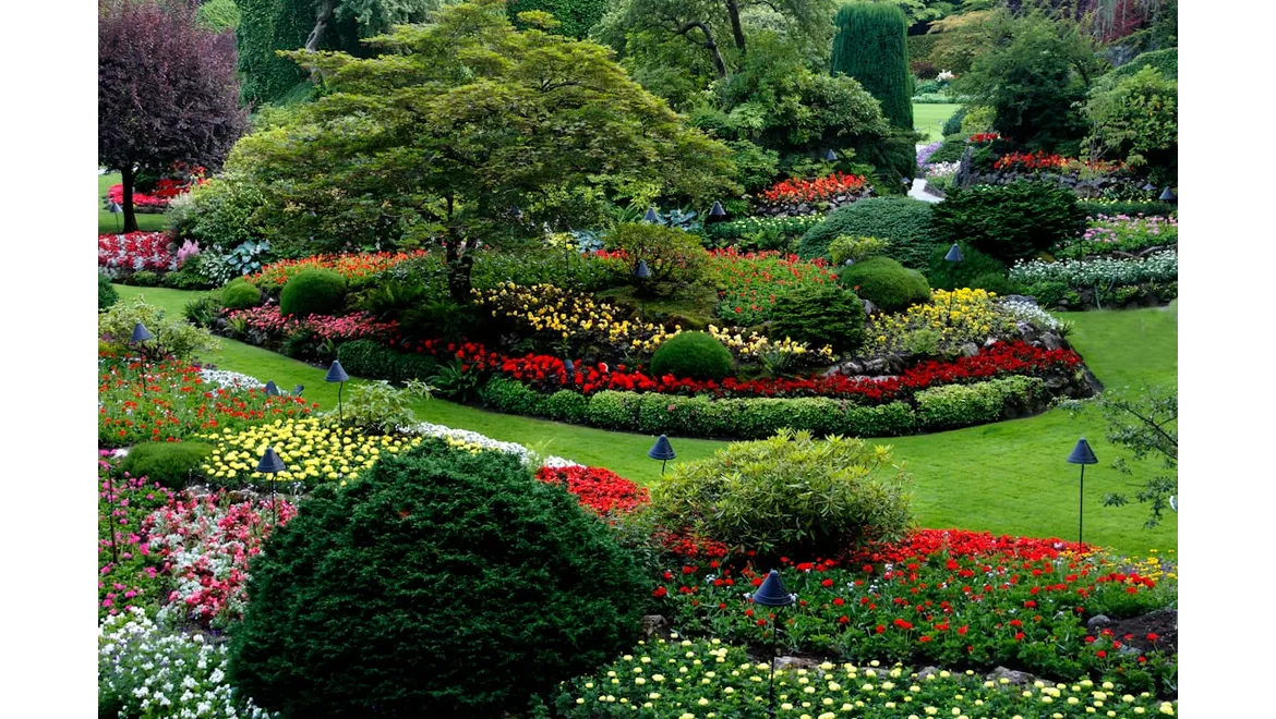 <p>Unlock Your Dream Garden: Zoning for Year-Round Joy</p>