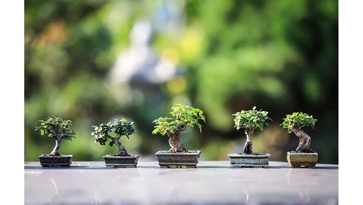 <p>Digging Deeper: Gardens, Serenity, and Georgia’s Green Escape</p>