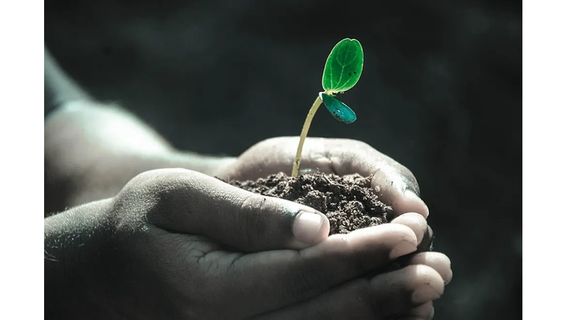 <p>Decoding the Dirt: A Chat About UK Soil Secrets</p>