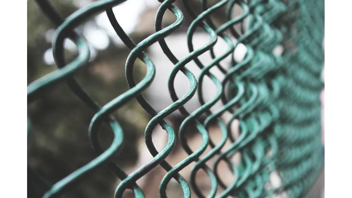 <p>Fencing Finesse: My Journey to Garden Boundaries and Bliss</p>