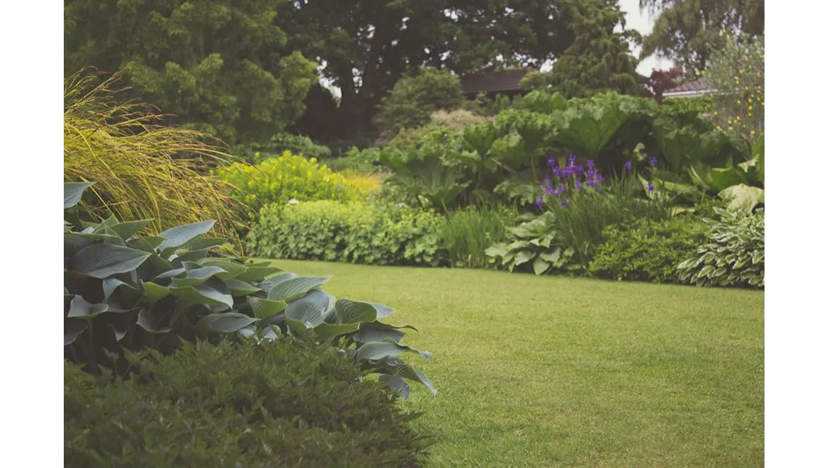 <p>Clay Be Gone: Taming My Garden Nightmare!</p>