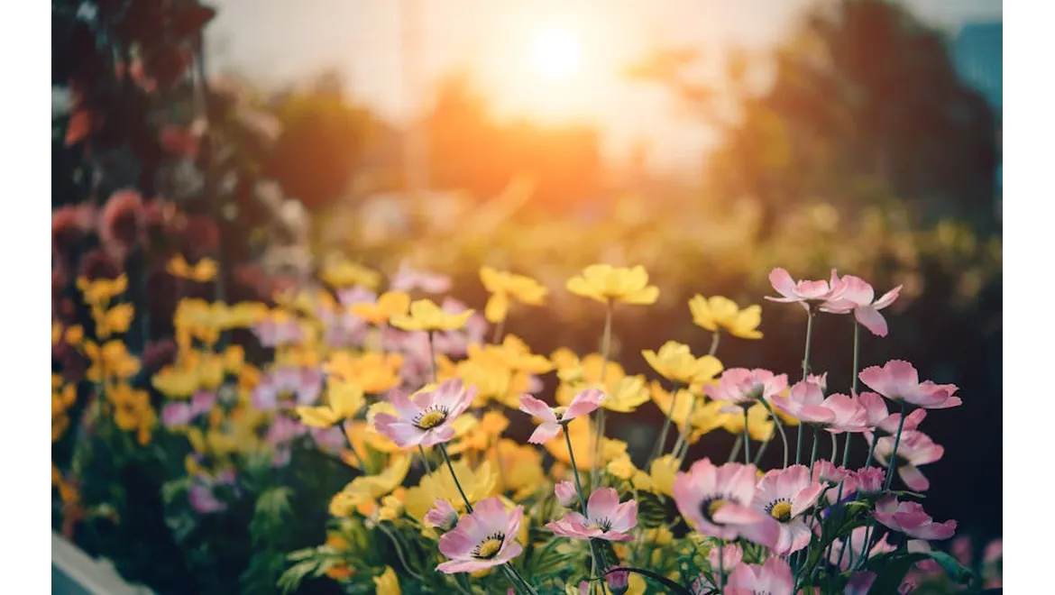 <p>Edible Elegance: Transforming Your Garden into a Feast!</p>