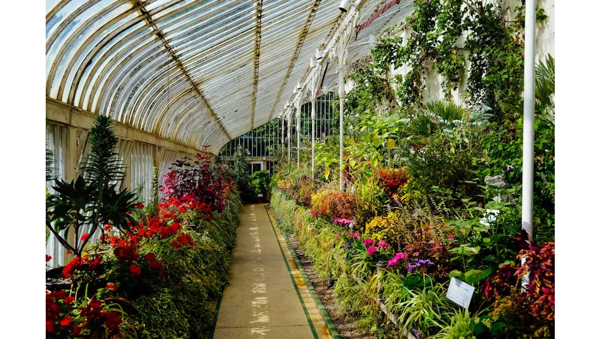 <p>Going Green with Glasshouses: A Sustainable Security Story</p>