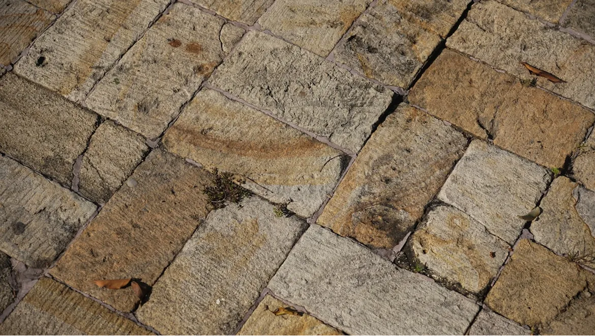 <p>Hardscaping Harmony: Cottage Garden Dreams</p>