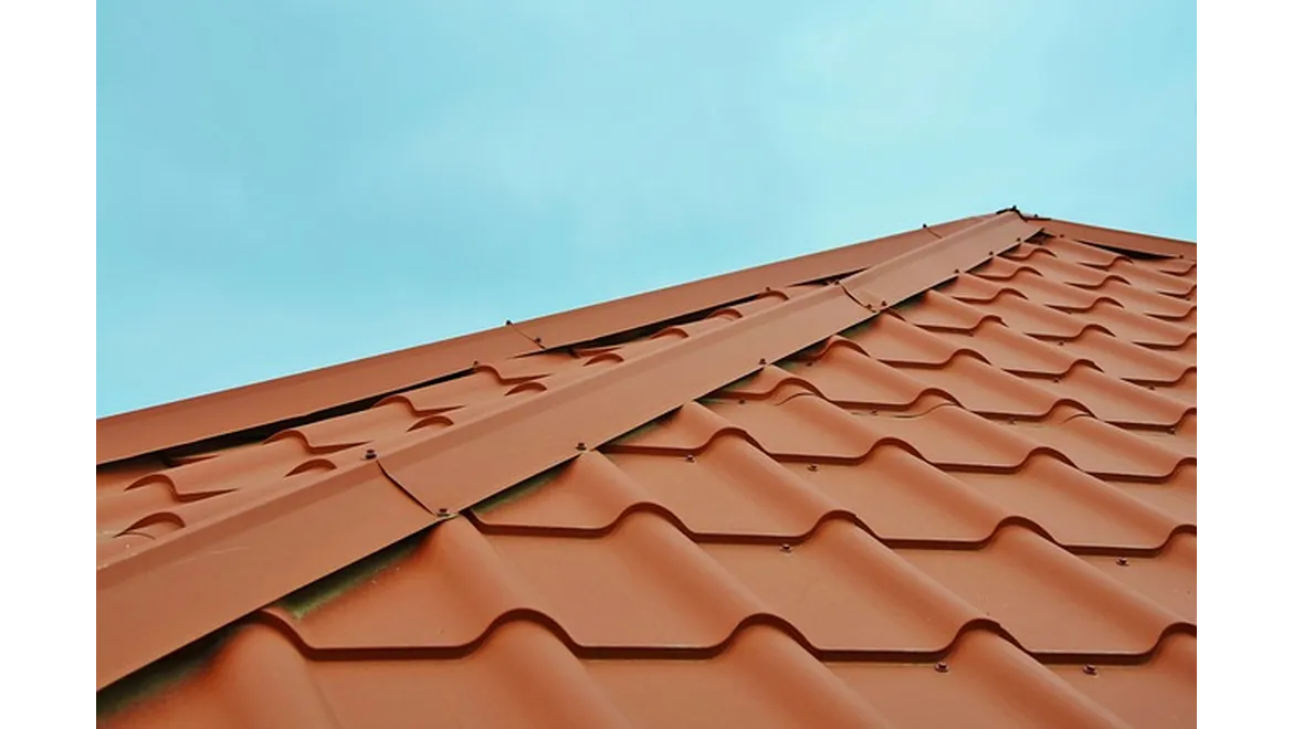 <p>Orangery Weatherproofing: A Chat with Lola</p>