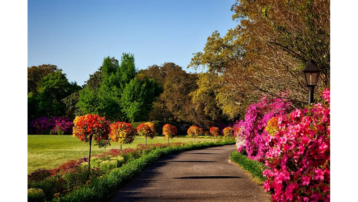 <p>Orangery Dreams & Costly Realities</p>