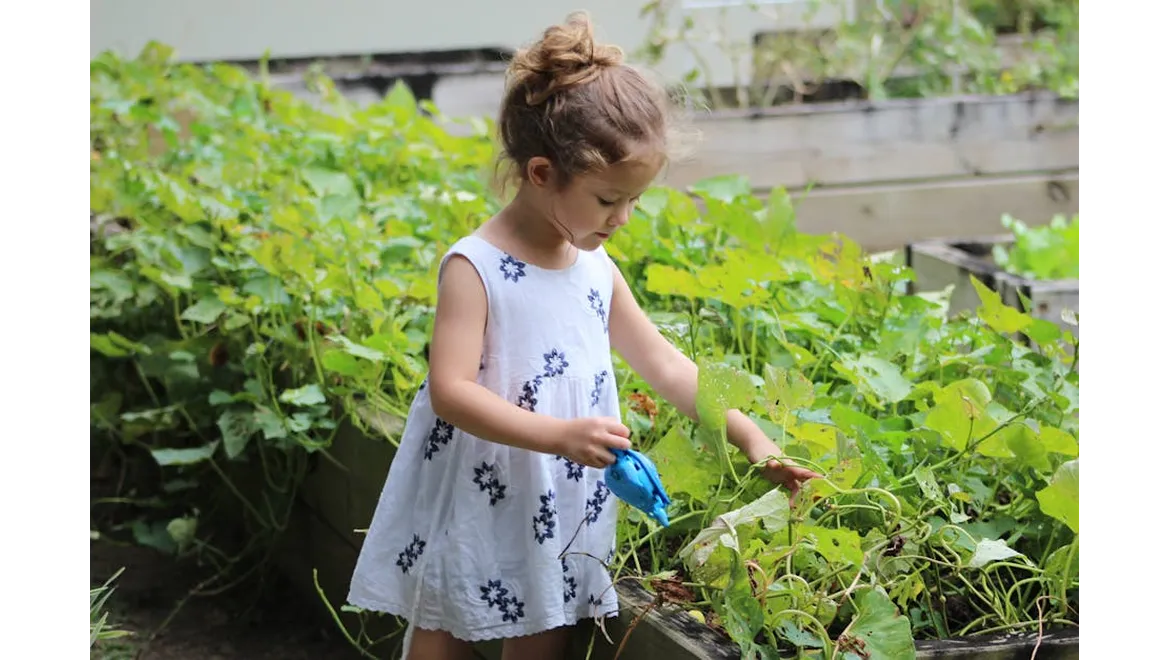 <p>Little Green Fingers, Big Green Dreams!</p>