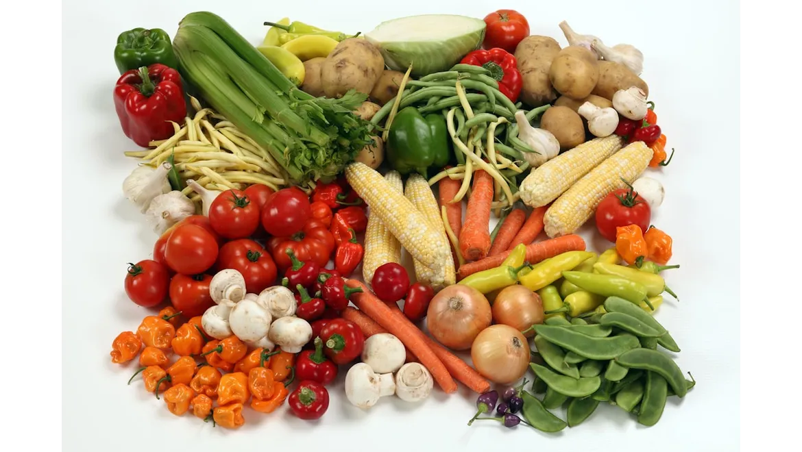 <p>From Seed to Supper: Chatting Harvest Know-How with a Green-Fingered Guru</p>