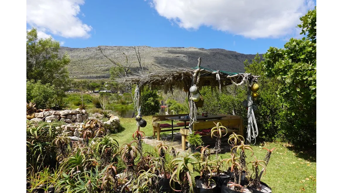 <p>Decking Dreams: From Garden Glimpse to Outdoor Oasis</p>