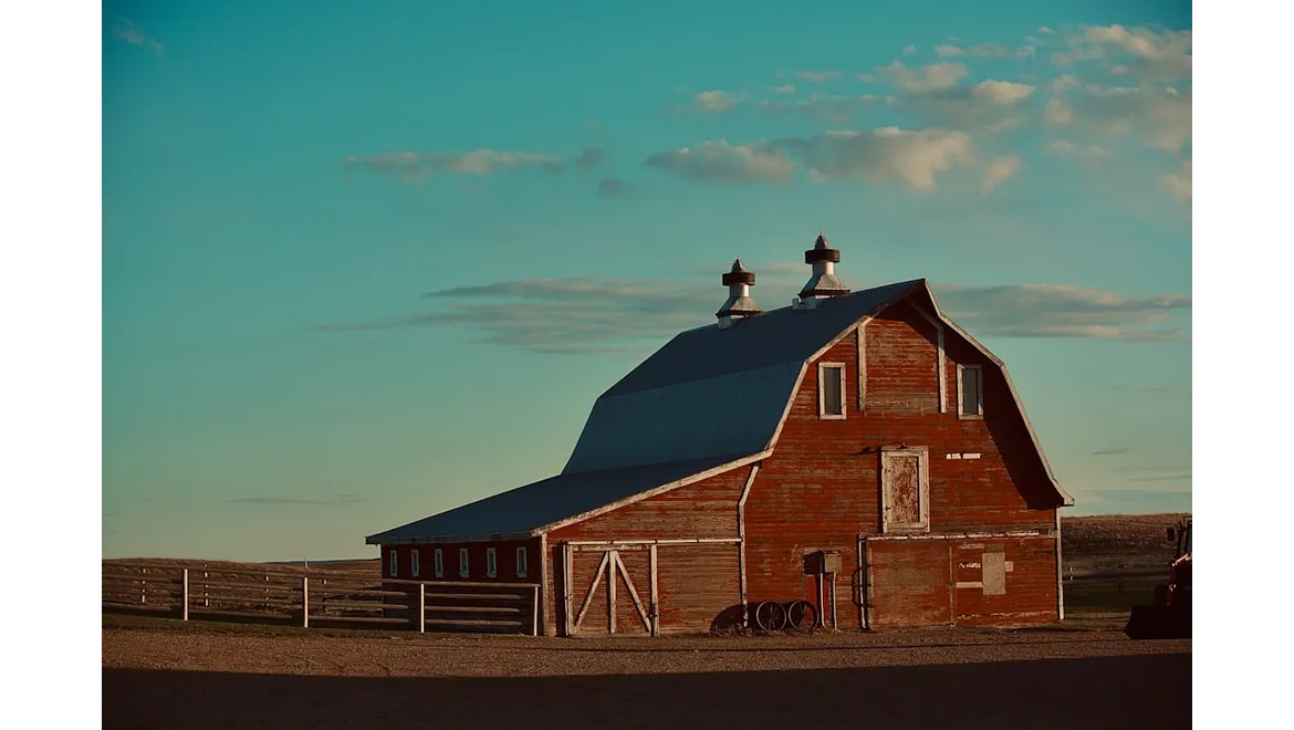 <p>From Barn to Bliss: A Deep Dive into a Luxury Rural Extension</p>