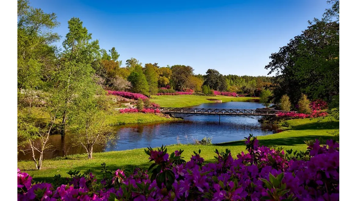 <p>Orangery Echoes: A Journey Through Time</p>