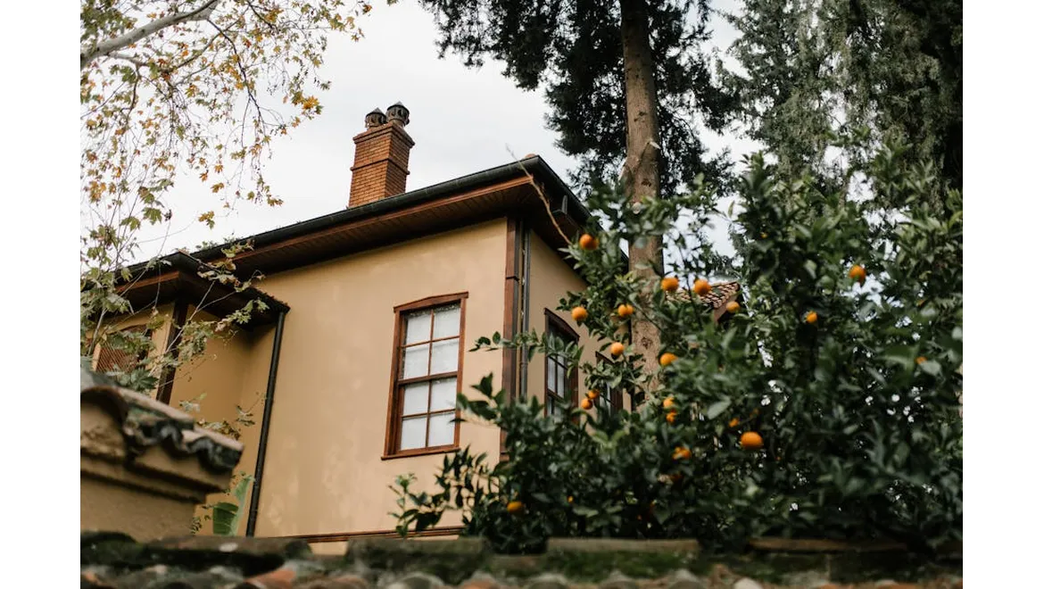 <p>My Orangery Energy Efficiency Deep Dive: A Writer’s Take</p>