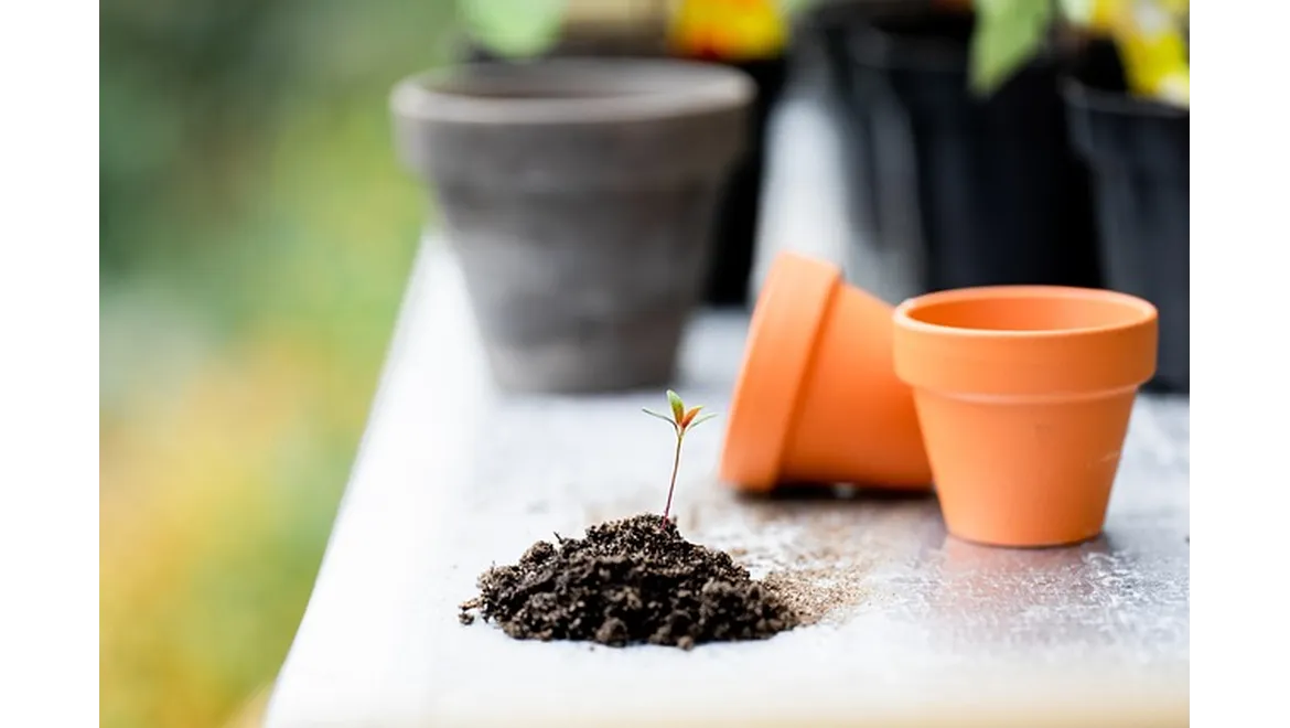 <p>Clay Conquerors: Imogen’s Garden Transformation</p>