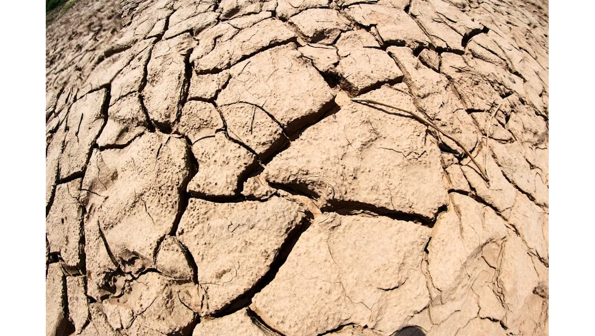 <p>Digging Deep: Foundations and Structural Engineering for Orangeries on Tricky Soil</p>