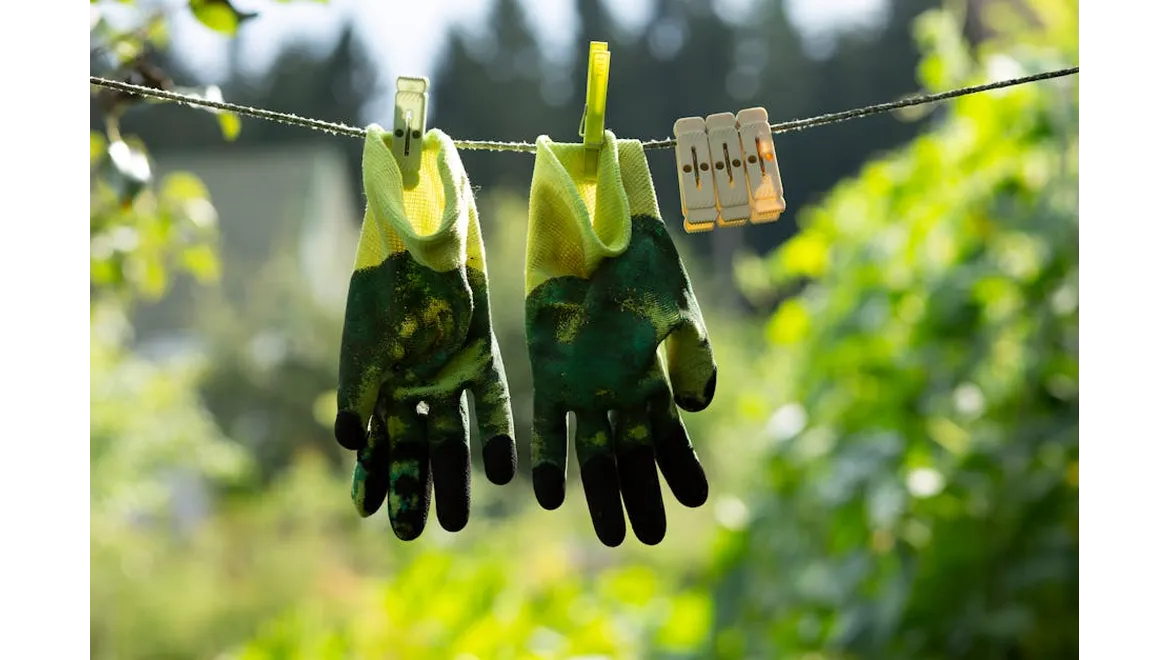 <p>My Garden Chat with Edward: Organic Veggie Victory!</p>