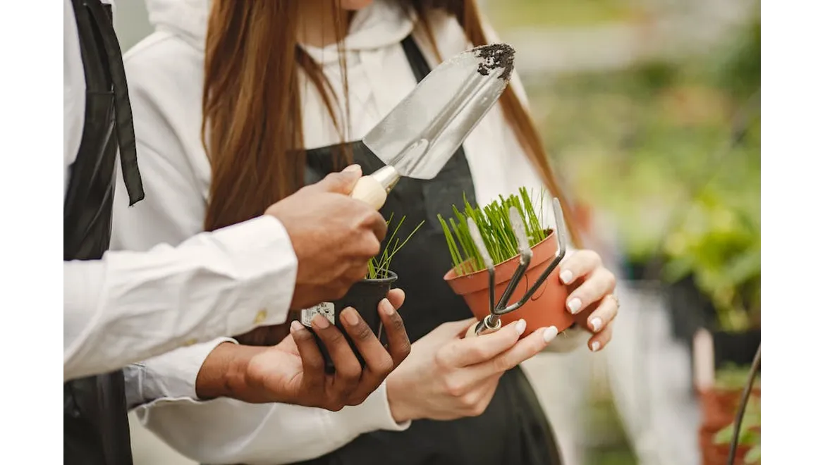 <p>Digging Deeper: My Chat About Gardening for the Soul</p>