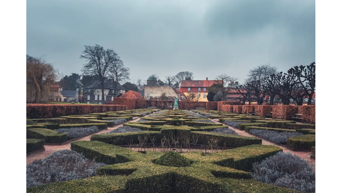 <p>Embracing the Chill: Winter Garden Care and Spring Dreams</p>