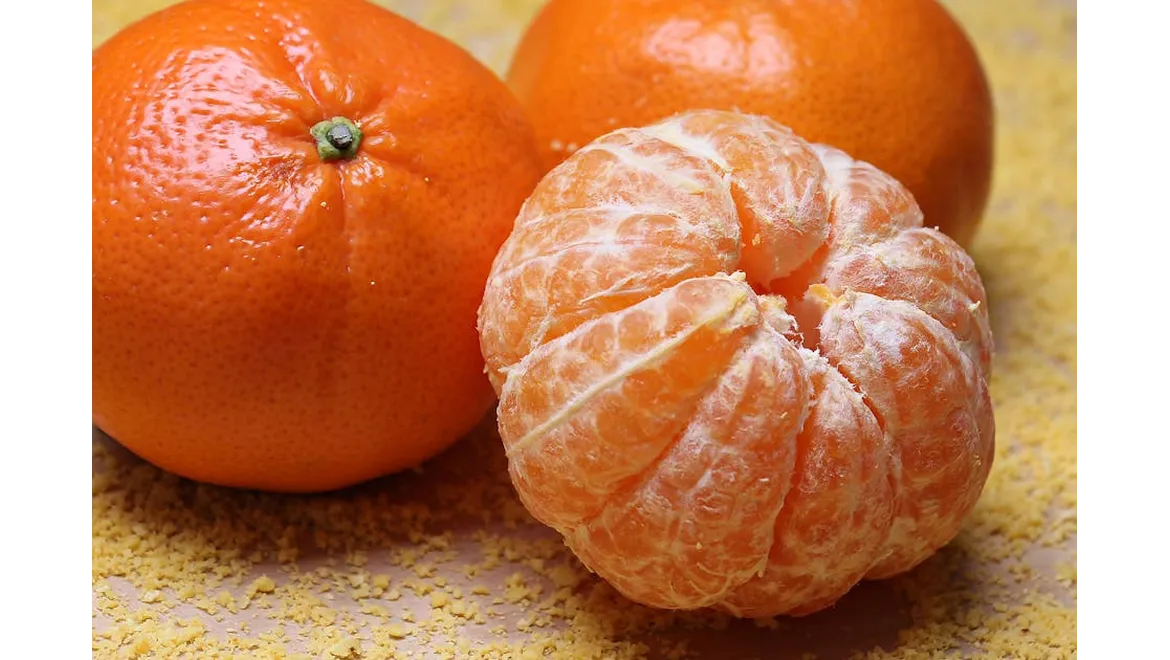 <p>Fiesta Fun: From Picky Eaters to Orangery Escapades</p>