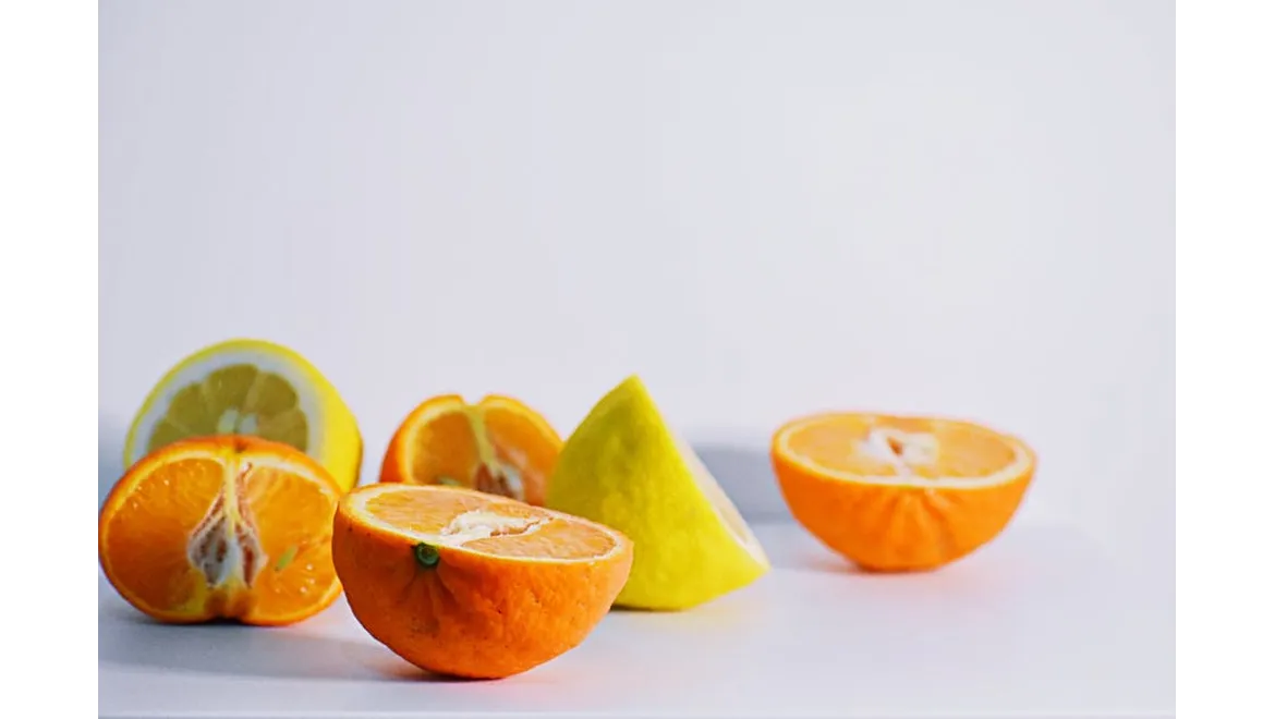 <p>Orangery Views: A Colourful Conversation with Sofia</p>