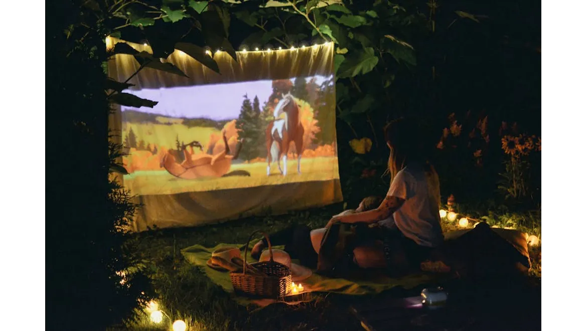 <p>Beyond Popcorn: Nailing the Outdoor Movie Night Feast</p>