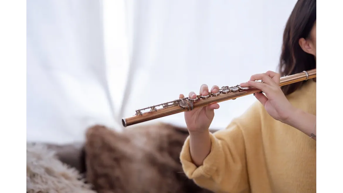 <p>Sound Sanctuary: My Quest for Home Harmony</p>