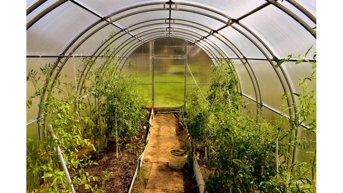 <p>Greenhouse Bliss: Scenting Serenity</p>